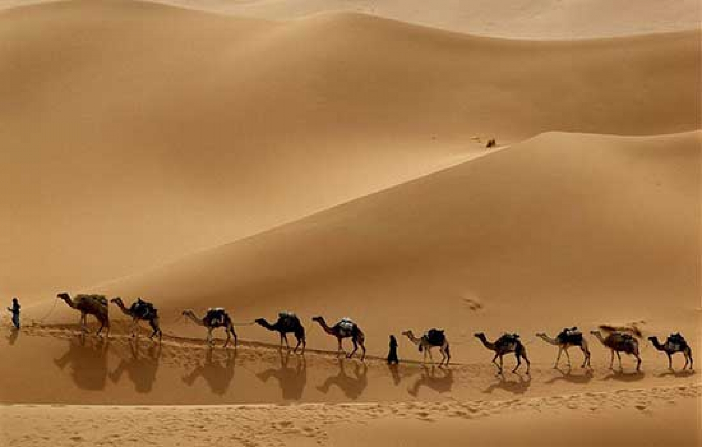 1-Maranjab Desert Tour